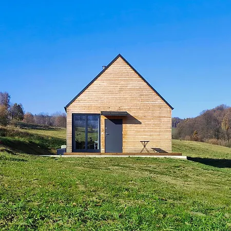 Zielanka - In Owl Mountains Chalet Zagórze Śląskie