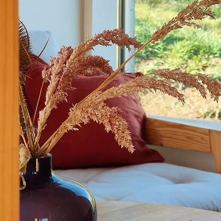 Zielanka - In Owl Mountains *