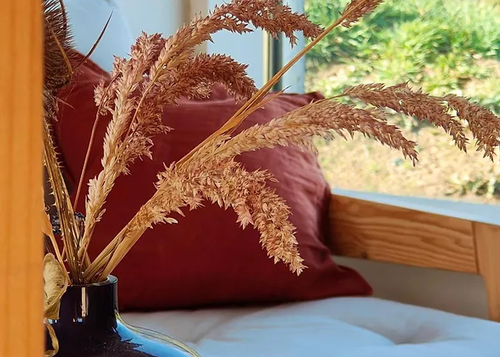 Zielanka - In Owl Mountains *